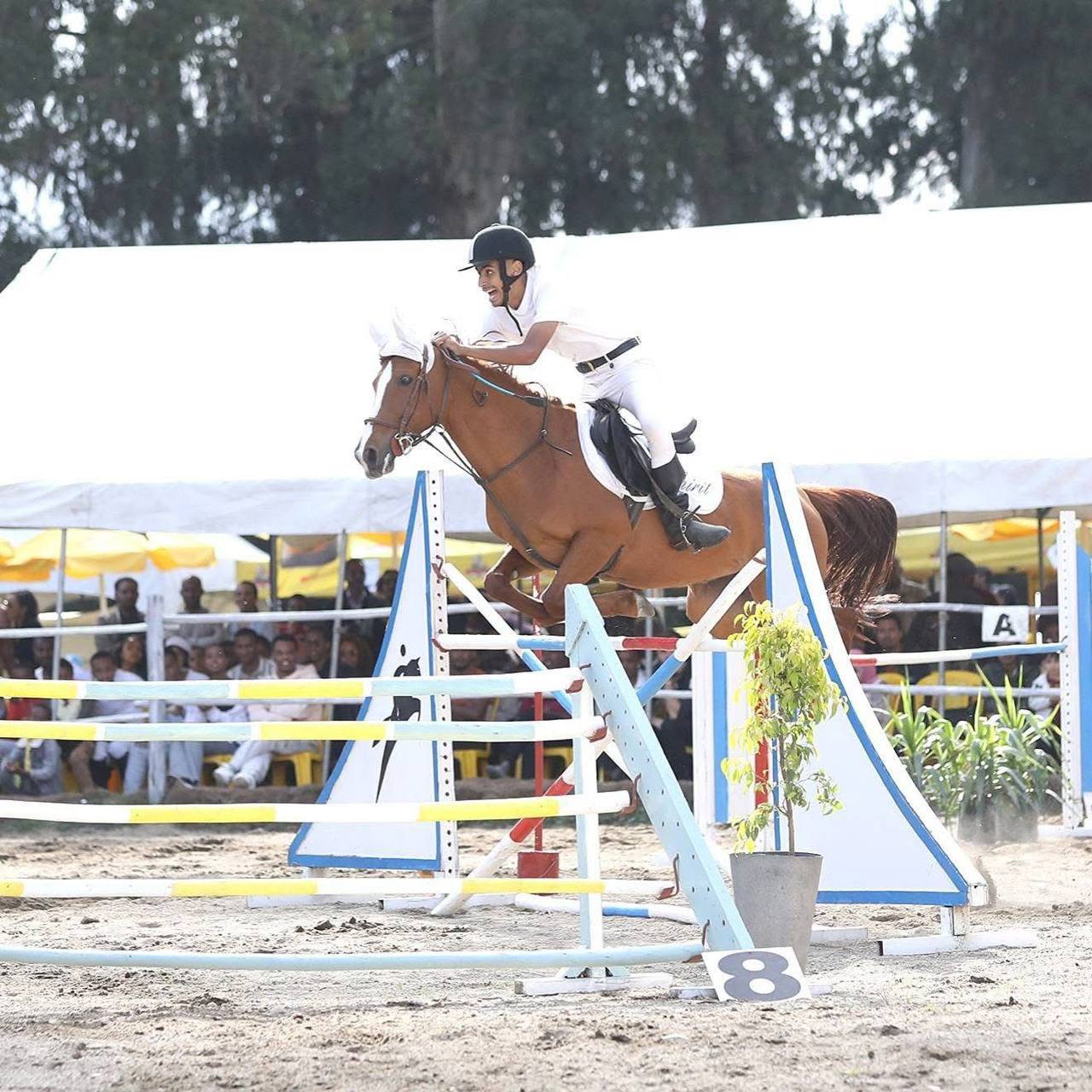 horseback